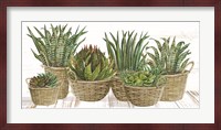 Succulent Baskets Fine Art Print