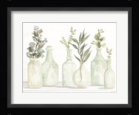 Bottles and Greenery I Framed Print
