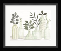 Bottles and Greenery II Fine Art Print