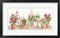 Terracotta Collection II Framed Print