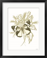 Sage Butterfly Fine Art Print