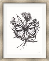 Black & White Butterfly Fine Art Print