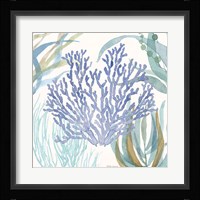 Soft Shores VIII Framed Print