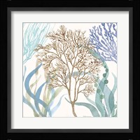 Soft Shores VII Framed Print