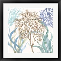 Soft Shores VII Fine Art Print