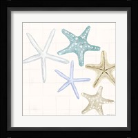 Soft Shores V Framed Print