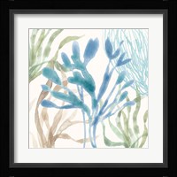 Soft Shores IX Framed Print