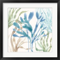 Soft Shores IX Fine Art Print