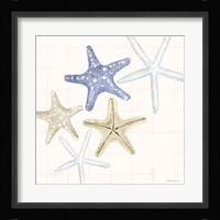 Soft Shores IV Framed Print