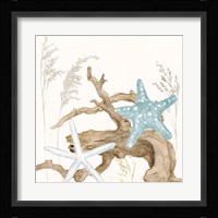 Soft Shores III Framed Print