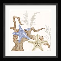 Soft Shores II Fine Art Print