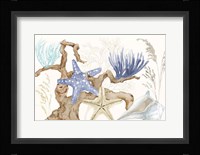 Soft Shores I Fine Art Print