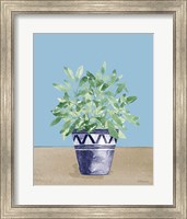 Herb Garden V White Navy Fine Art Print