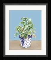 Herb Garden II White Navy Framed Print