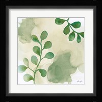 Woodland Walk II Framed Print