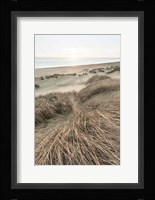 Beach Grasses Fine Art Print