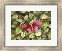 Majestic Butterfly Fine Art Print