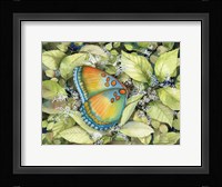 Royal Butterfly Fine Art Print