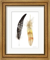 Natural Feathers III Fine Art Print