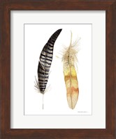 Natural Feathers III Fine Art Print