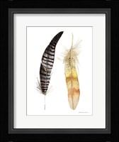 Natural Feathers III Framed Print