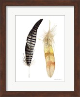 Natural Feathers III Fine Art Print