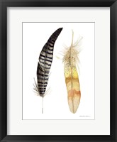 Natural Feathers III Framed Print