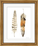Natural Feathers II Fine Art Print