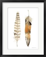 Natural Feathers II Fine Art Print