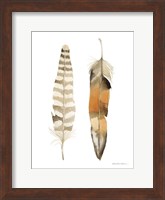 Natural Feathers II Fine Art Print