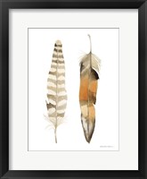 Natural Feathers II Framed Print