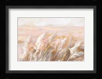 Prairie Grasses Fine Art Print