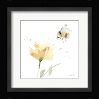 Sunflower Meadow V Framed Print