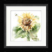 Sunflower Meadow III Fine Art Print