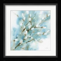 Pussy Willows Square Fine Art Print