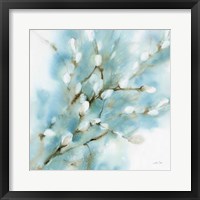 Pussy Willows Square Framed Print