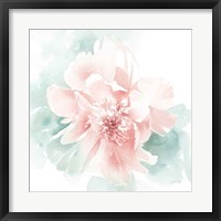 Poetic Blooming II Pink Framed Print