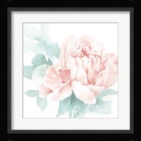 Poetic Blooming I Pink Framed Print