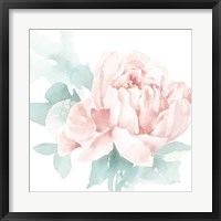 Poetic Blooming I Pink Framed Print