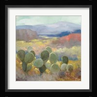 High Desert II Framed Print