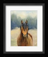 Spirit of the West I Framed Print