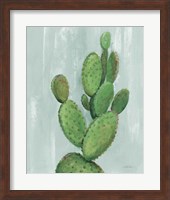 Front Yard Cactus I Slate Fine Art Print