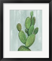 Front Yard Cactus I Slate Fine Art Print