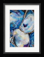 Matunuck Shells Fine Art Print