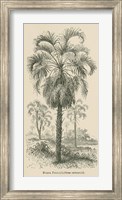 Creators Wonders Book Palm Fine Art Print