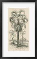 Creators Wonders Book Palm Fine Art Print