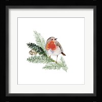 Winter Visitor I Framed Print