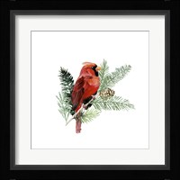 Winter Visitor III Framed Print