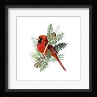 Winter Visitor IV Framed Print