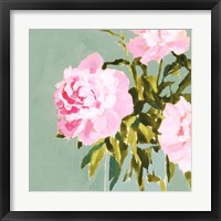 Popping Peonies IV Framed Print